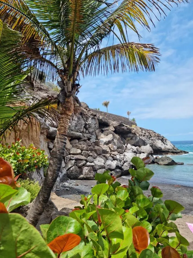 Stunning Studio With A Sea View And Pool, Paraiso Del Sur 1309 Costa Adeje  0*, Costa Adeje (Tenerife) Spain